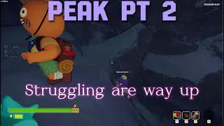 struggling to the summit, will we make it?