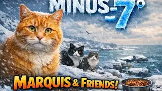 Minus 7&deg;C on the Seashore&hellip; Marquis & the Crew Are Waiting for Dinner