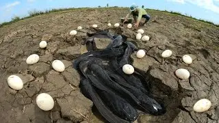 unique  ! Catch a lot of fish and collect duck eggs in the rice fields.