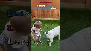 Ranking funniest Situation Drawing Videos
