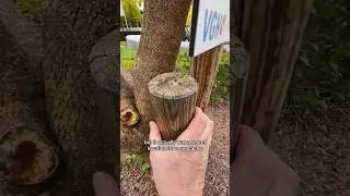 Amazing Geocache Hidden In Plain Sight! #geocache #geocaching #hiddeninplainsight