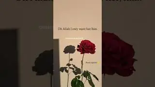 Prayers For Preferred Partner🤍💝
