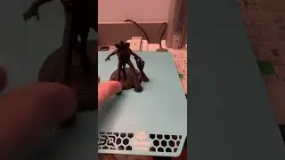 DemoGorgon Time lap