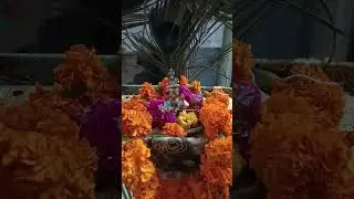 #shivek #jai shree Krishna #
