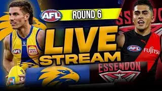 West Coast Eagles v Essendon Highlights | Round 8, 2024 | AFL