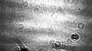 Digital Holography - Original Video