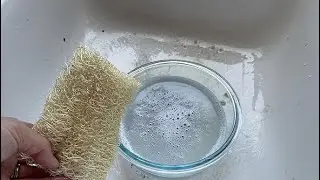 Kitchen sponges in action