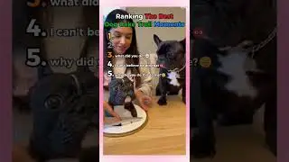 The best dog cake trolls 😂 #funny #memes