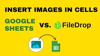 Compare Google Sheets Insert Image in Cell vs. FileDrop Batch Insert