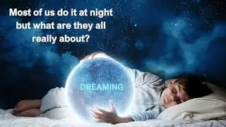 Why Do We Dream? Neuroscience, REM Sleep & the Mystery of the Mind