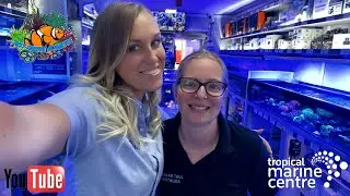 Out of the Offish with Colette - Episode 16 Just Marine Aquatics  fish shop tour
