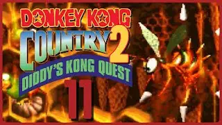 DONKEY KONG COUNTRY 2 # 11 🏴&zwj;☠️ King Zing Sting Frustration!