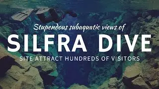 Diving in a Gap between Tectonic Plates: Silfra, Iceland