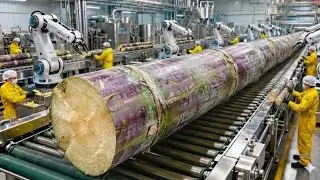 Process Of Making Sugarcane Bagasse Straws in USA: Straws Mass Production Factory (Full Process)