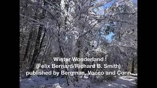 Winter Wonderland