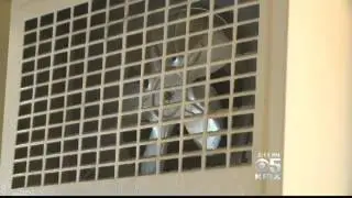 German Shepherd saves life of 80 year old owner from carbon monoxide poisoning