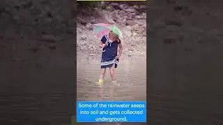 Sources of Water | Natural Resources | YouTube Shorts | Merryland Academy Digital Classroom