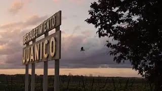 Bodega Deicas - Santander Select