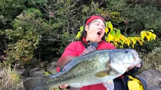 初心者の前でデカバスを釣るマスゲンさんw