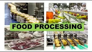 FOOD PROCESSING, METHODS OF FOOD PROCESSING