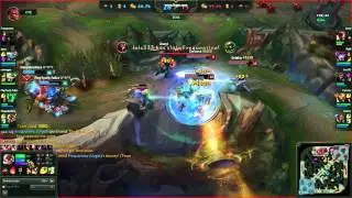 Insec in the jungle