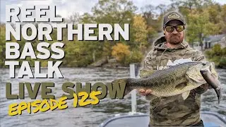 Reel Northern Bass Talk Livestream Favorite Fall Baits!