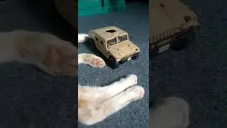 Hummer H1 with sleeping cat #maisto 1:27 #diecast #shorts