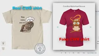 Fake online store diverts real money from nonprofit