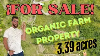 Ecuador Real estate For Sale:3.39-Acre Organic Farm Property with Scenic Views in Malacatos