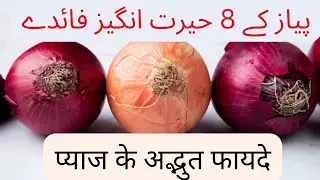 Amazing Health benefits of Onions | Secret Benefits of Onions | Hindi | Urdu 