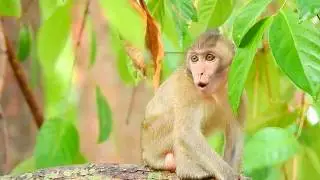 Pity Baby Janna Screaming alone | Where Mother Jane