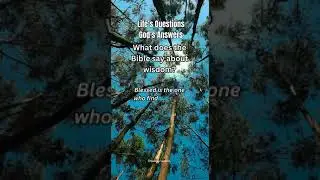What does the Bible say about wisdom?  #wisdom #biblequestions
