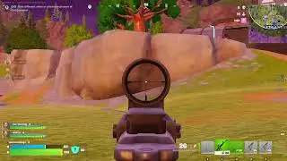 Pieterepp Fortnite Live