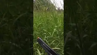 A Nade Toss for the Win (Bad Blood 2021) #airsoftgameplay #airsoftpics #airsofting #airsoft