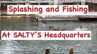 Отдых и рыбалка в штаб-квартире Saltyhead