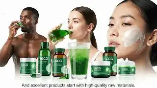 Target Gut Health Market: EGCG as Core Ingredient in Gut-Boosting Capsules & Powders