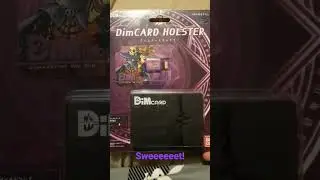 Dim Card Holster Dynasty of the evil