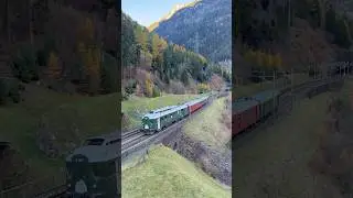 🎉 Die Schwalbe ist zur&uuml;ck! Historischer BDe 4/4 1646 auf Charterfahrt von Erstfeld nach Bodio 🇨🇭