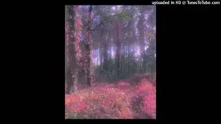 [FREE] Ambient Trap + Experimental Type Beat 