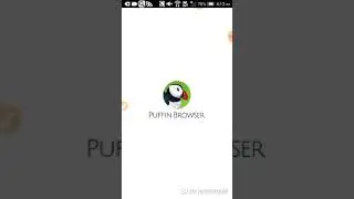 How to activate flash player on puffin web (outdated)