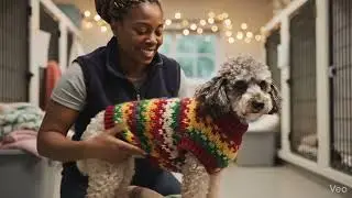 Blog Post Animal Shelter Heroes