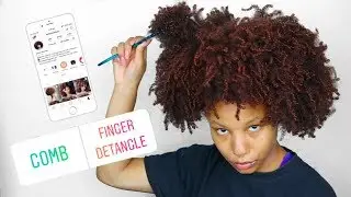 MY INSTAGRAM FOLLOWERS CONTROL MY NATURAL HAIR FOR A DAY