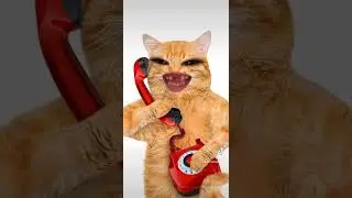 Kitty called Pizza Hut for order food 😀