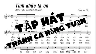 Tình Khúc Tạ Ơn (Tường Vy, OP)