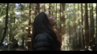 Climate Resilience: Supporting climate resilient California state parks