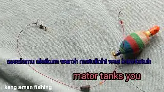 cara membuat rangkaian pencing llnikan lele ll paling Joss dan ampuh ll