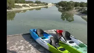 Mangrove Kayaking Magic | Ultimate Relaxation 4K | Frame| TV Wallpaper and Screensaver 🛶🥬☀️