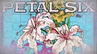 Hassio (COL) - Best Adult (Original Mix) Petal Six / TULIPA129