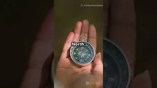How To Read a Compass. #how