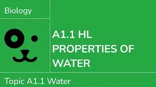 A1.1 HL Свойства воды [IB Biology HL]